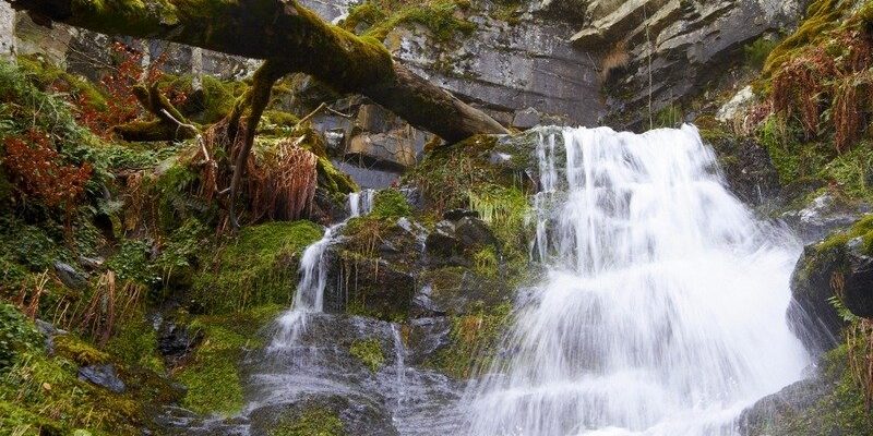 La ruta de las Cascadas de Altuzarra nos lleva por un increíble hayedo y saltos de agua espectaculares