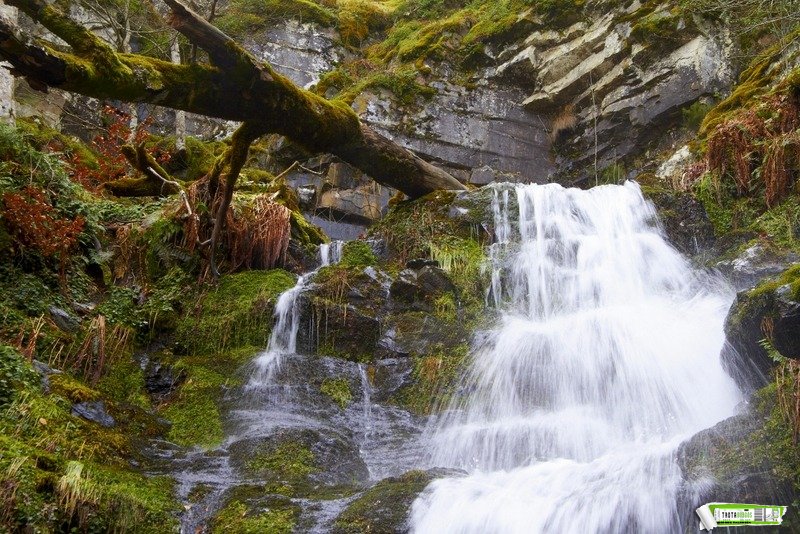 ruta de las Cascadas de Altuzarra La ruta de las Cascadas de Altuzarra nos lleva por un increíble hayedo y saltos de agua espectaculares