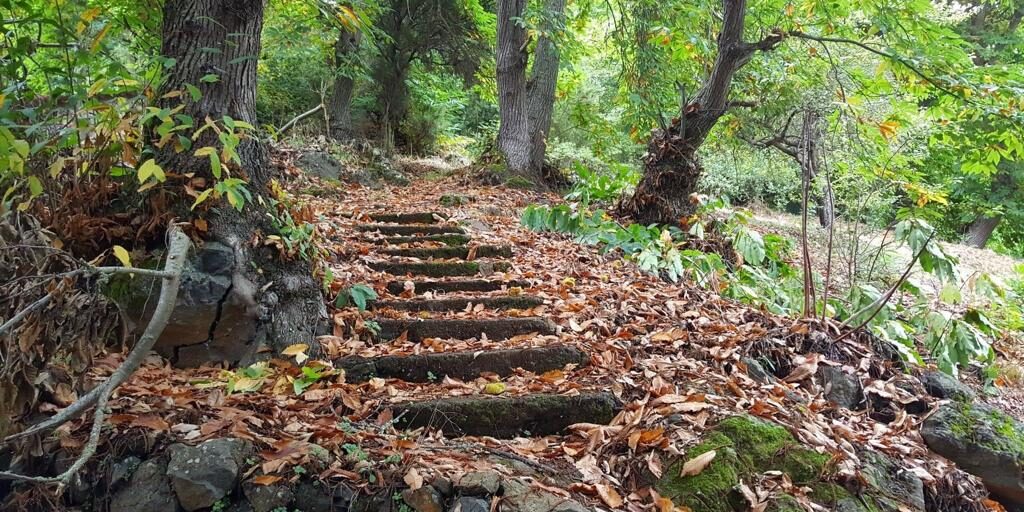 Sí, en nuestra maravillosa isla de Tenerife tenemos otro Barranco del Infierno