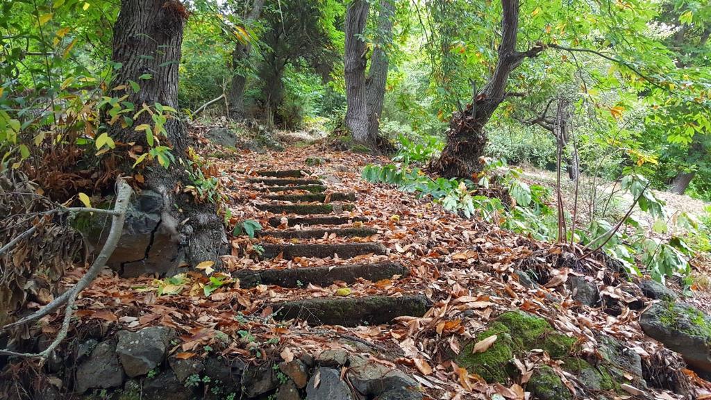 Barranco del Infierno Sí, en nuestra maravillosa isla de Tenerife tenemos otro Barranco del Infierno