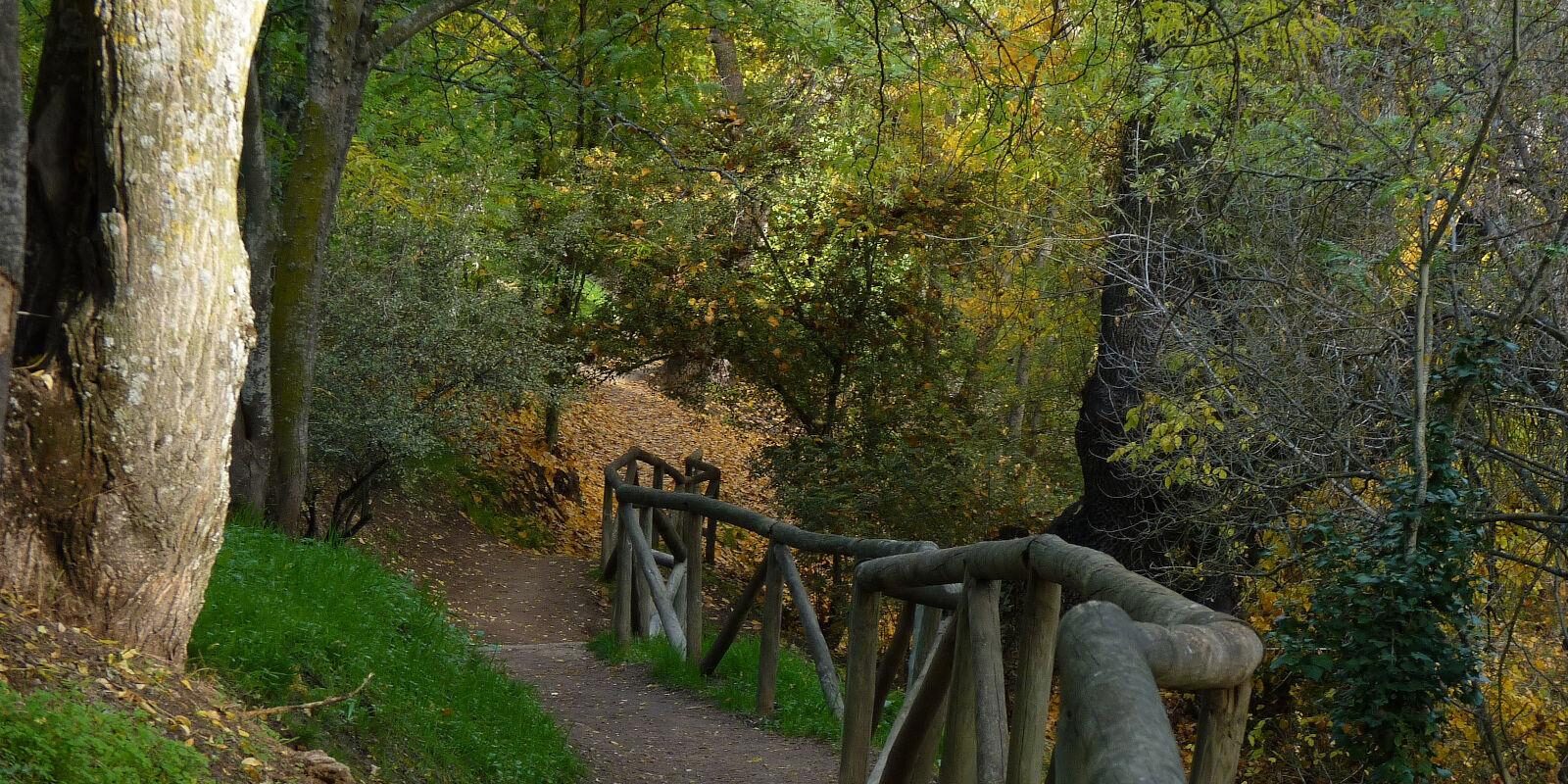 El Monte de El Pardo es un reducto natural de un gran valor