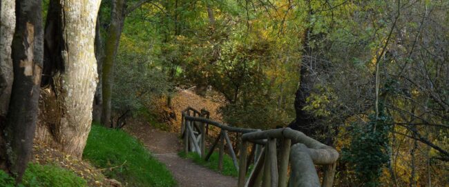 Monte de El Pardo El Monte de El Pardo es un reducto natural de un gran valor