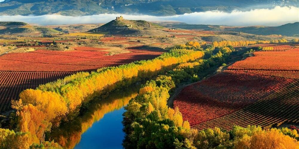 Aromas de Rioja y Txacolí nos hará vivir experiencias únicas