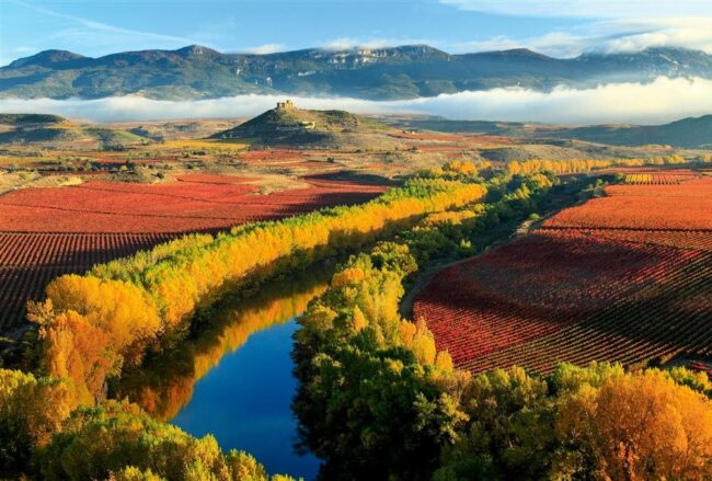 Aromas de Rioja y Txacolí Aromas de Rioja y Txacolí nos hará vivir experiencias únicas