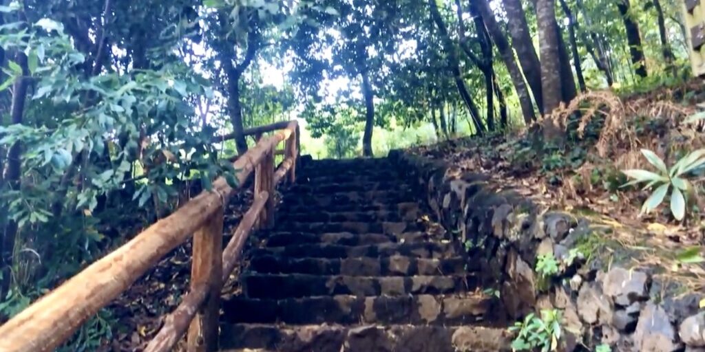 El sendero que transcurre desde Las Calderetas a Las Crucitas nos ofrece la oportunidad de disfrutarlo en todo su esplendor