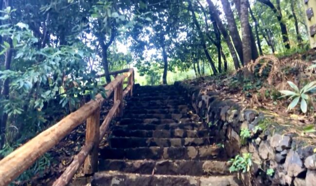 de Las Calderas a Las Crucitas El sendero que transcurre desde Las Calderetas a Las Crucitas nos ofrece la oportunidad de disfrutarlo en todo su esplendor