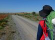 El Camino de Santiago Francés es el más popular, conocido mundialmente