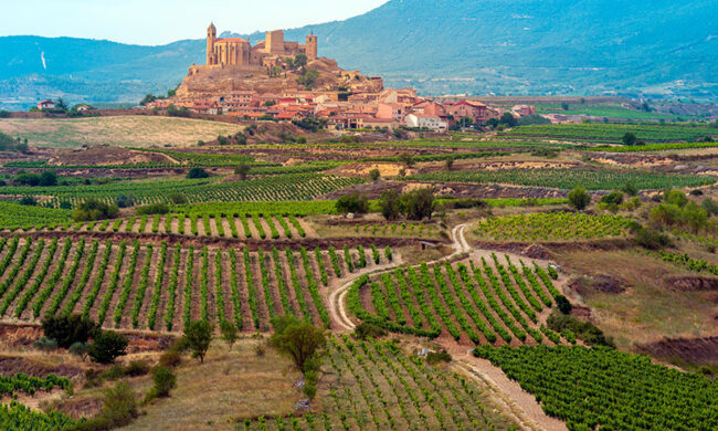 La Rioja La Rioja, a pesar de ser la Comunidad Autónoma más pequeña de nuestro país, ofrece un sinfín de lugares y actividades al visitante ávido de experiencias inolvidables