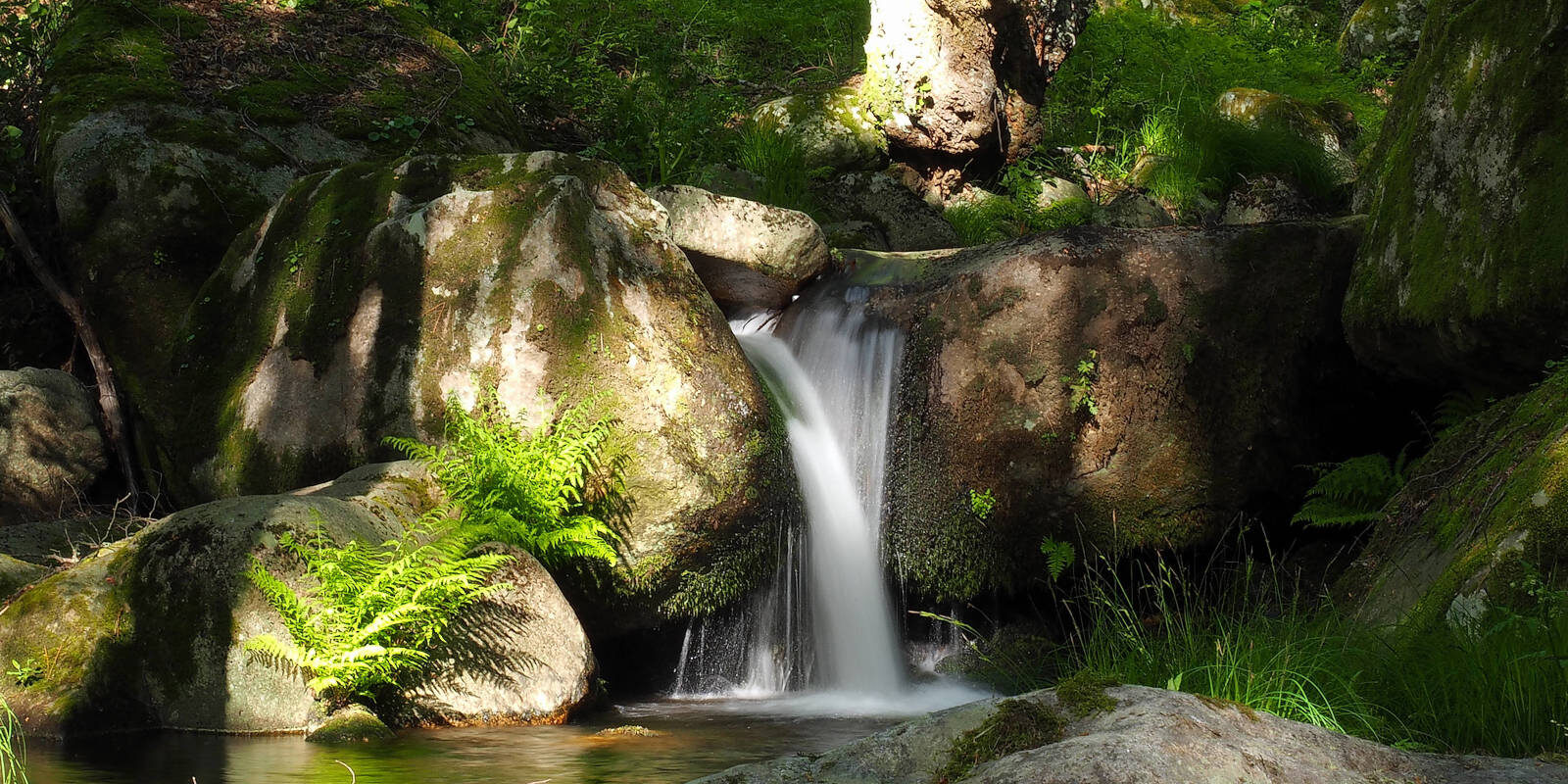 Valle de Iruelas El Valle de Iruelas se encuentra en el oriente de la Sierra de Gredos