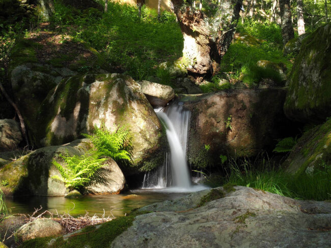 Valle de Iruelas El Valle de Iruelas se encuentra en el oriente de la Sierra de Gredos