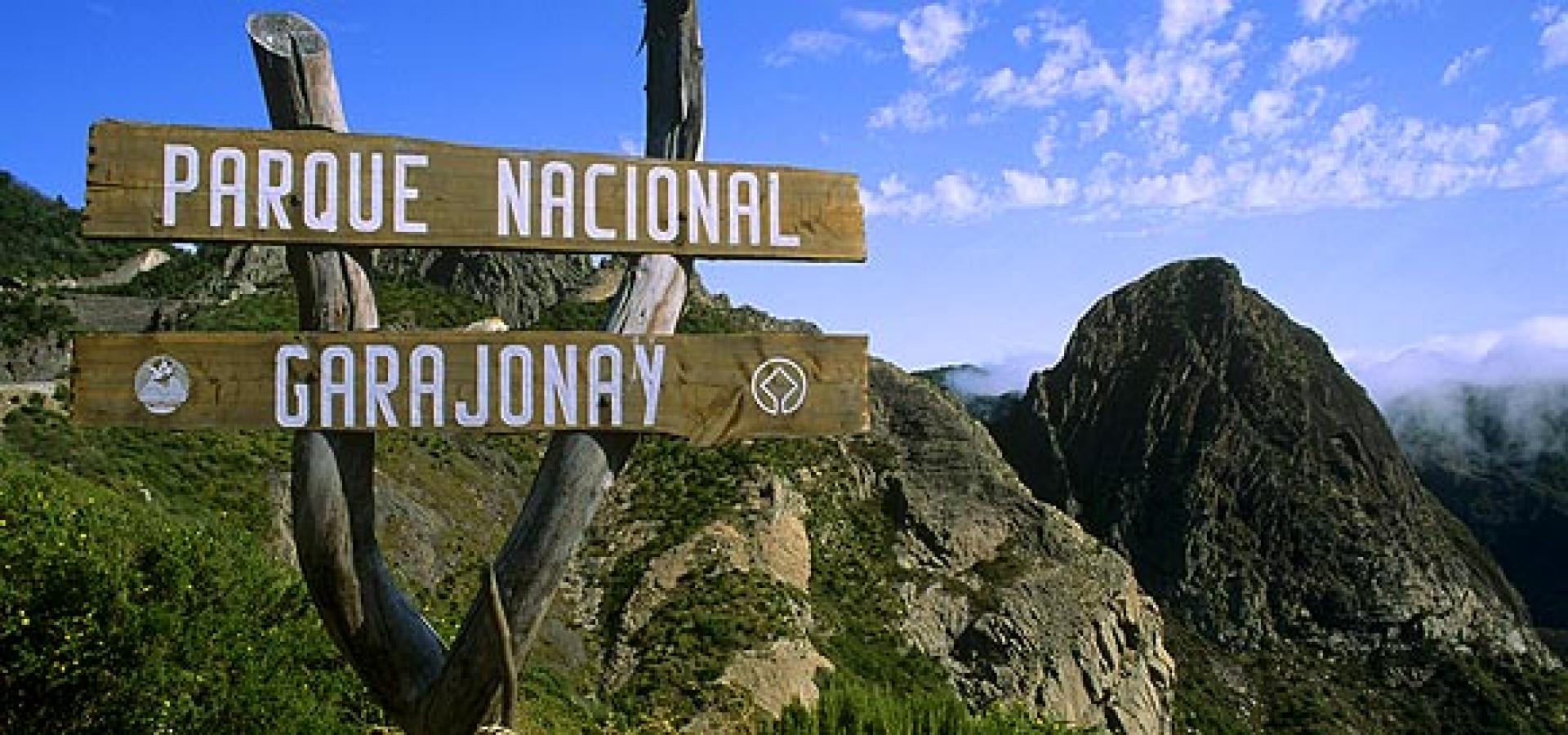 Garajonay El pasado 25 de marzo el Parque Nacional de Garajonay celebraba su 41 aniversario