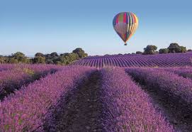 Viajes a Soria y Campos de Lavanda