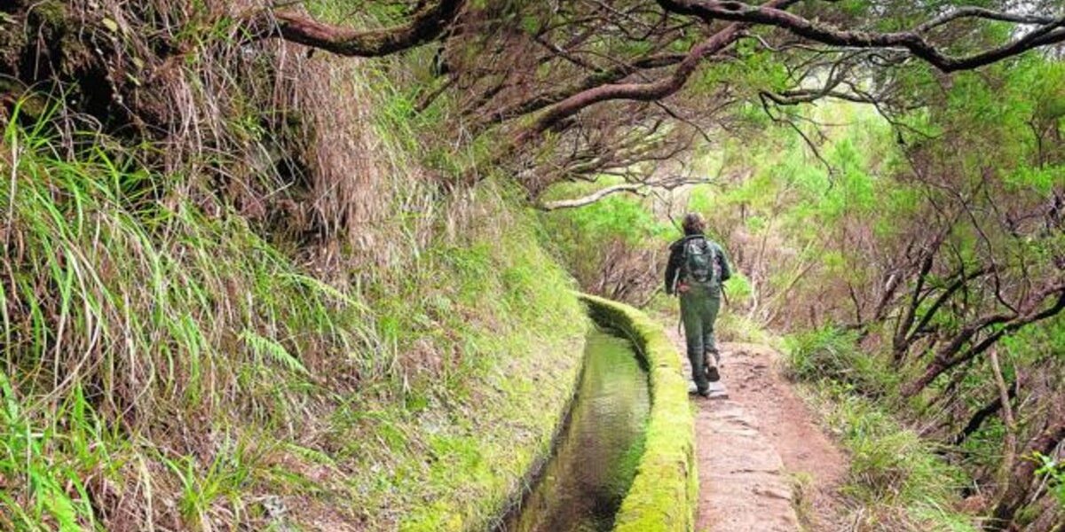 Madeira La isla de Madeira está considerada un verdadero paraíso.
