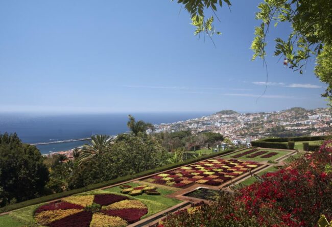 Funchal Su capital, Funchal y su jardín botánico unas de esas joyas que no debemos perdernos en nuestra visita a la isla