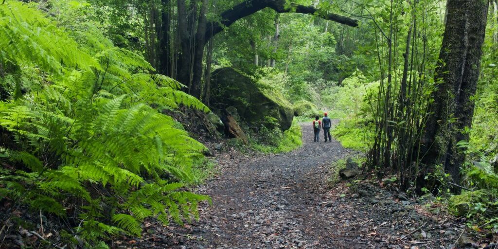 Cubo de la Galga Uno de esos senderos es el del Cubo de la Galga.