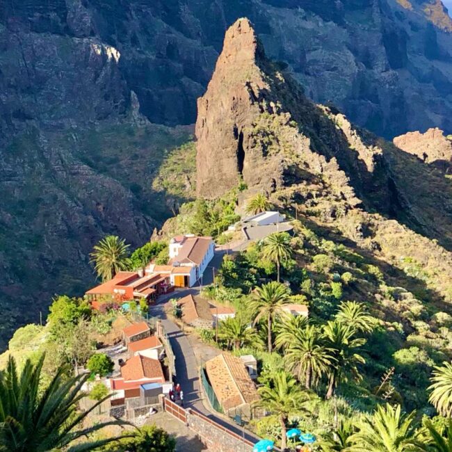 Sendero del Barranco de Masca El Sendero del Barranco de Masca transcurre entre impresionantes paredes verticales