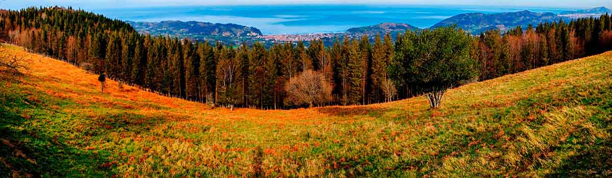 El Parque Natural de Pagoeta está situado en la localidad guipuzcoana de Aia