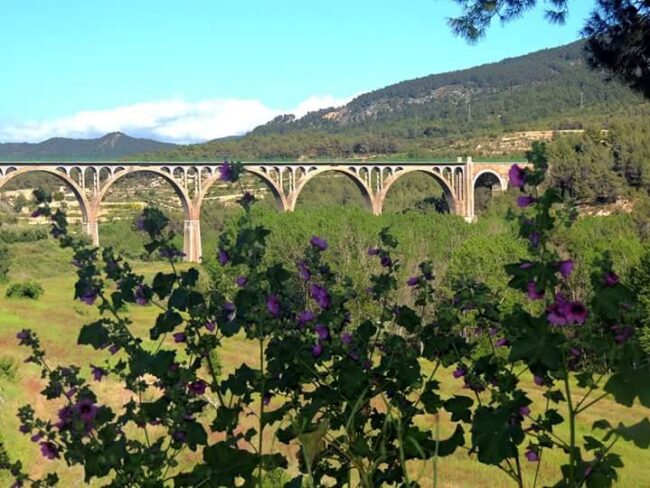 Vía Verde de Maigmó La Vía Verde de Maigmó es una sencilla ruta que discurre sobre una antigua vía de tren