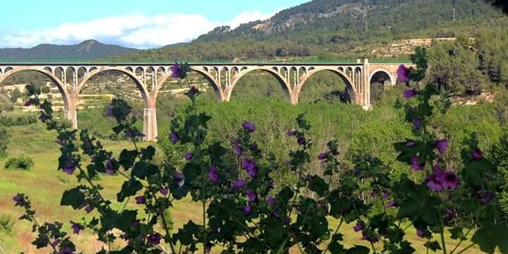 Vía Verde de Maigmó La Vía Verde de Maigmó es una sencilla ruta que discurre sobre una antigua vía de tren