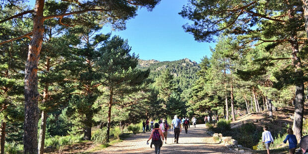 La ruta por los Robles Centenarios de Puebla de la Sierra nos invita a conocer ejemplares únicos