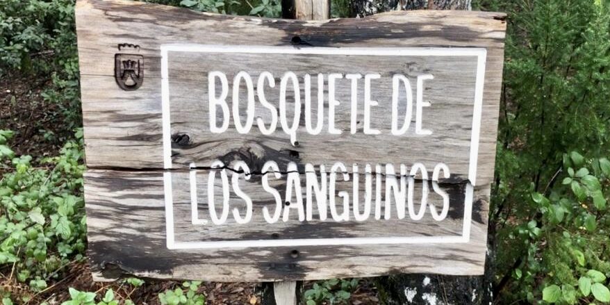 Bosquete de los Sanguinos7a-6a20b2d30ed6 El Bosquete de los Sanguinos, en Santa Úrsula, es un enclave natural único en Canarias, cuyos ejemplares pueden alcanzar los 10 metros