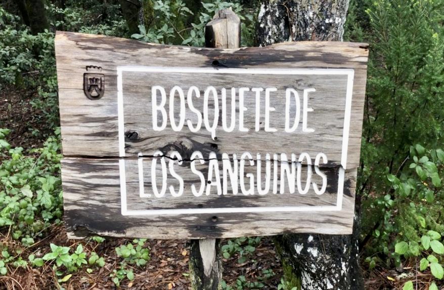 Bosquete de los Sanguinos7a-6a20b2d30ed6 El Bosquete de los Sanguinos, en Santa Úrsula, es un enclave natural único en Canarias, cuyos ejemplares pueden alcanzar los 10 metros
