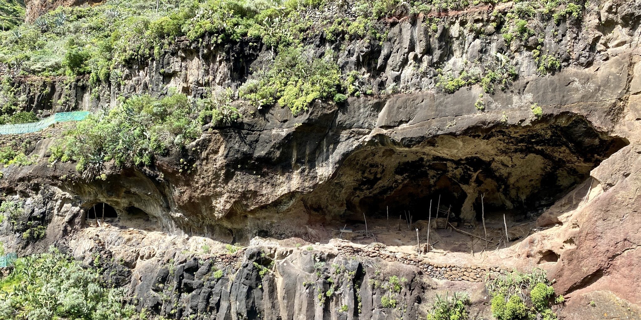 Ruta de la Cueva del Lino La Ruta de la Cueva del Lino, en el Caserío de los Batanes del Parque Rural de Anaga, nos muestra los antiguos cultivos del lino, destinado a la industria textil