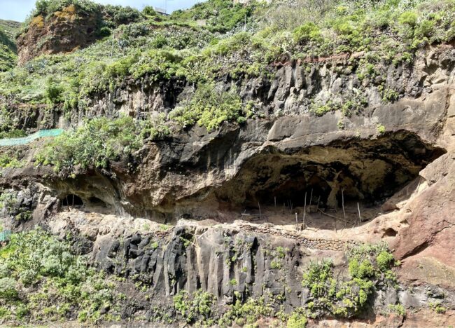 Ruta de la Cueva del Lino La Ruta de la Cueva del Lino, en el Caserío de los Batanes del Parque Rural de Anaga, nos muestra los antiguos cultivos del lino, destinado a la industria textil
