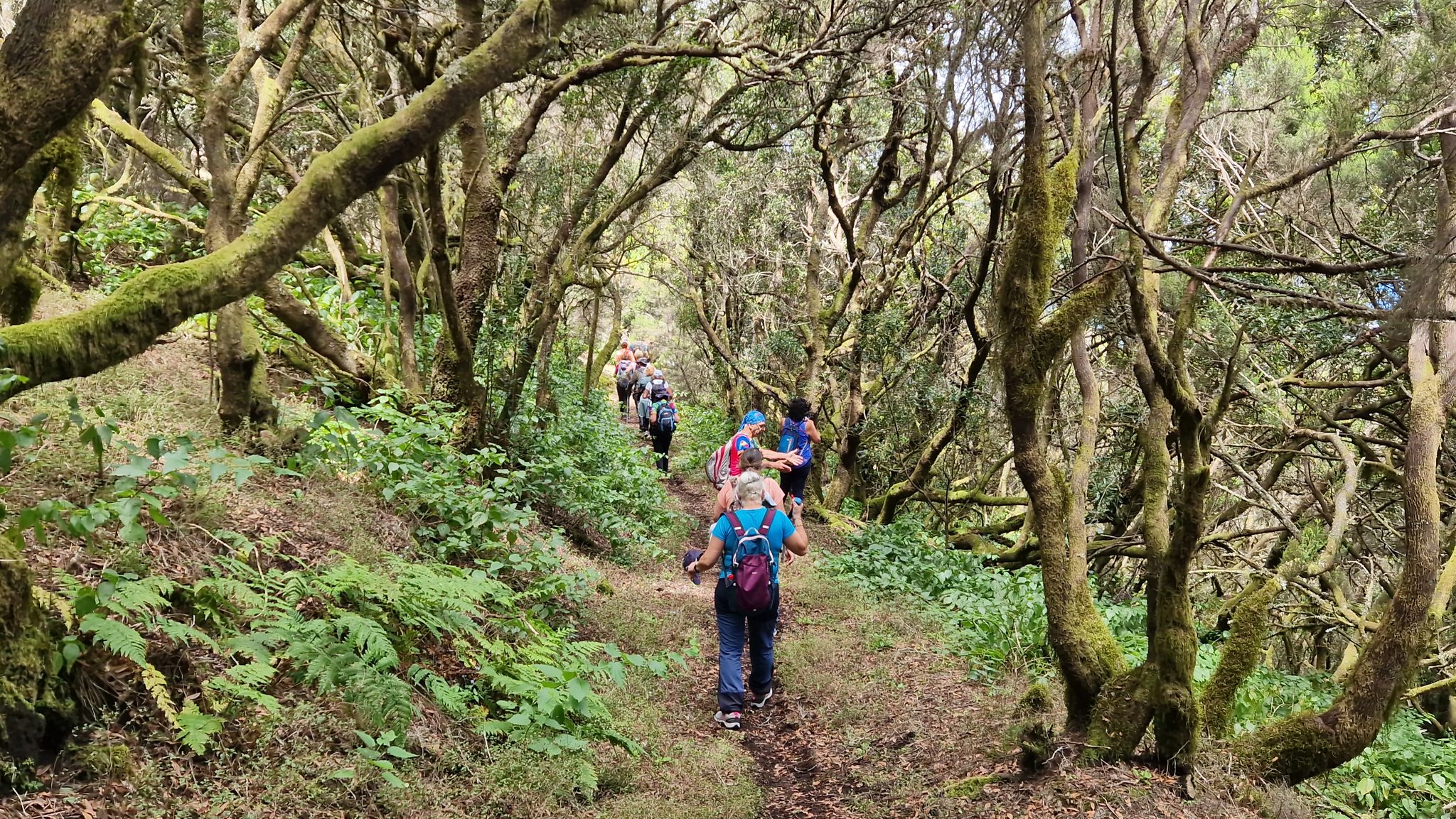 353439230_634234468735142_3763809047444457133_n