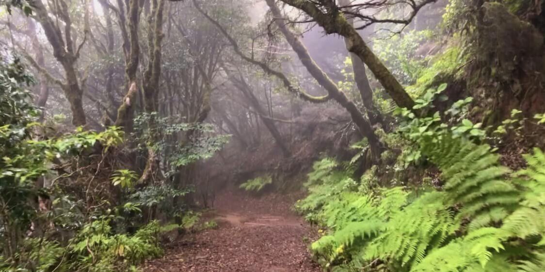 383169872_6881006775296600_2969919396181444134_n