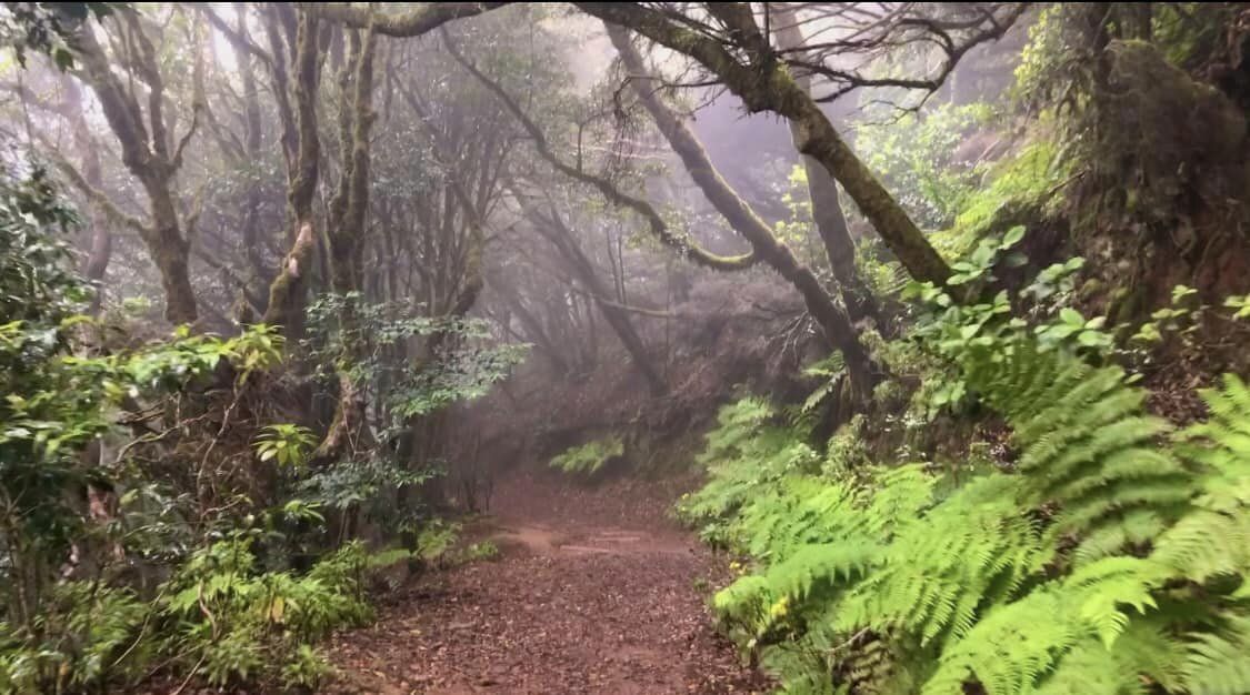 383169872_6881006775296600_2969919396181444134_n