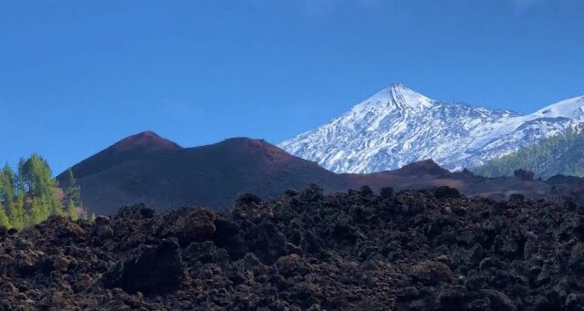 370139426_857853659158448_8237598949128174338_n