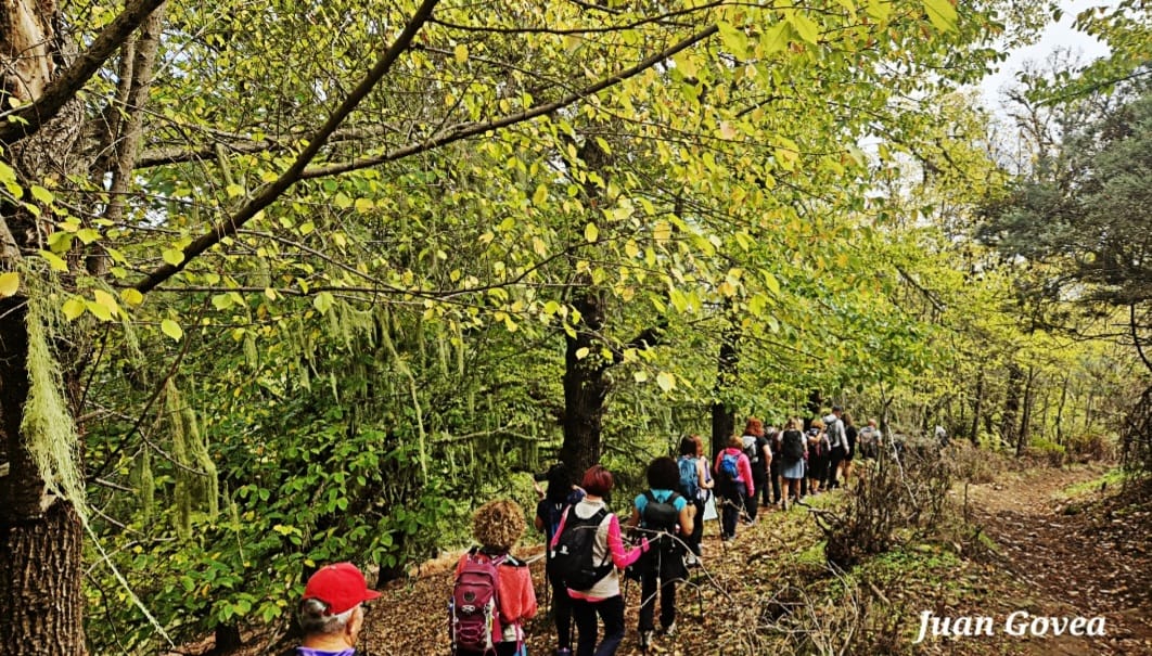 398848026_720571083434813_8237001634609951614_n