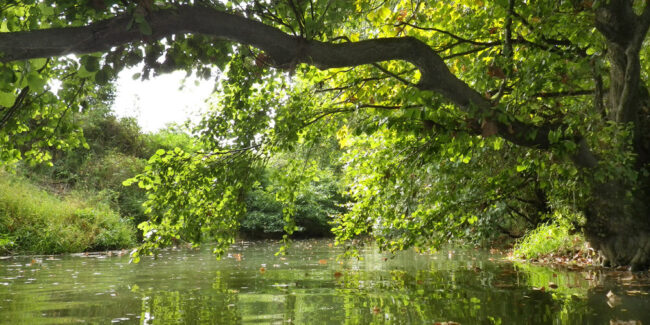 Rio-Butron-1000×500