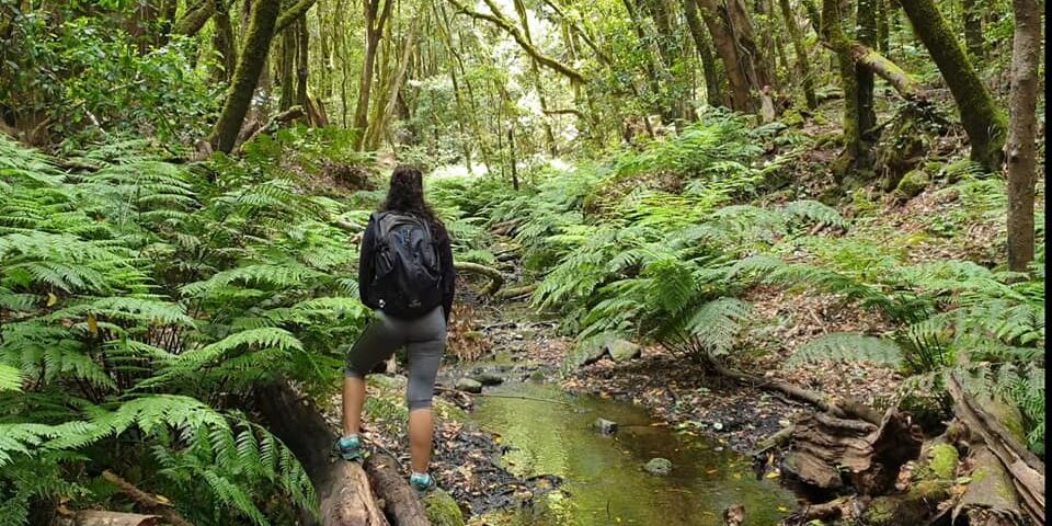 74454631_3089739397759149_6462028845894213092_n