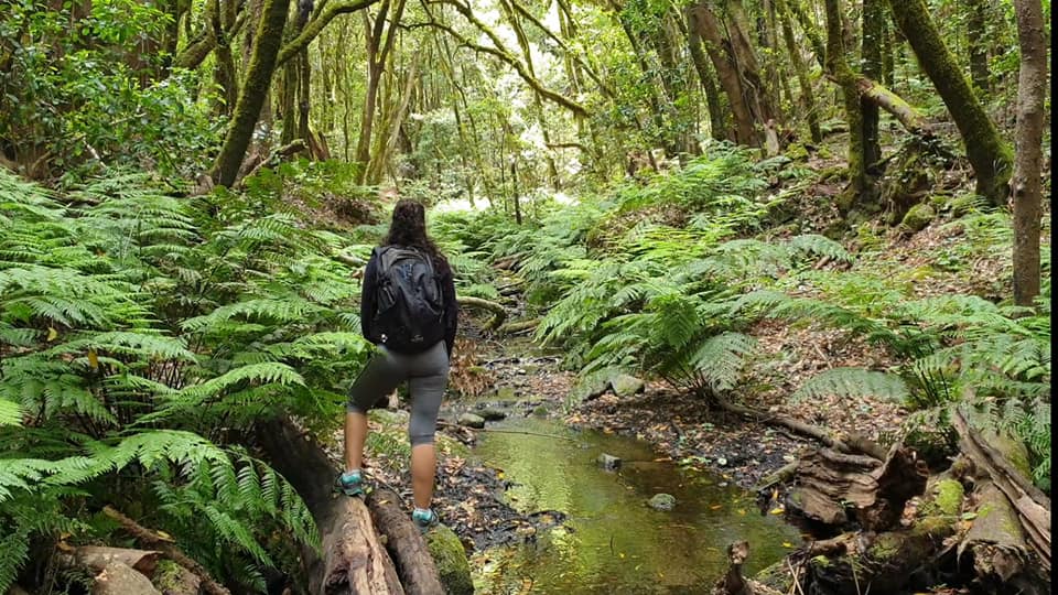 74454631_3089739397759149_6462028845894213092_n