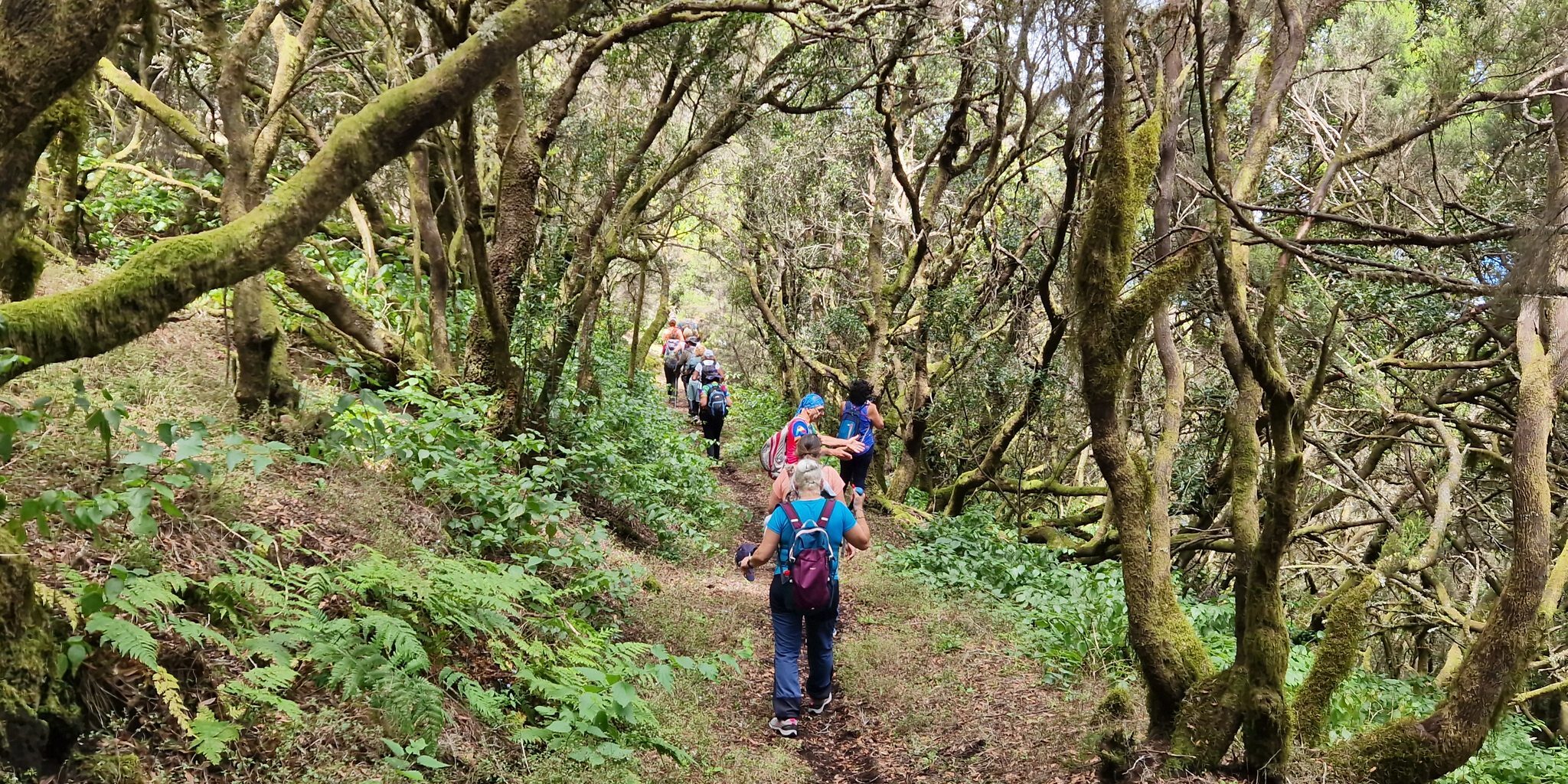 353439230_634234468735142_3763809047444457133_n-2048×1024