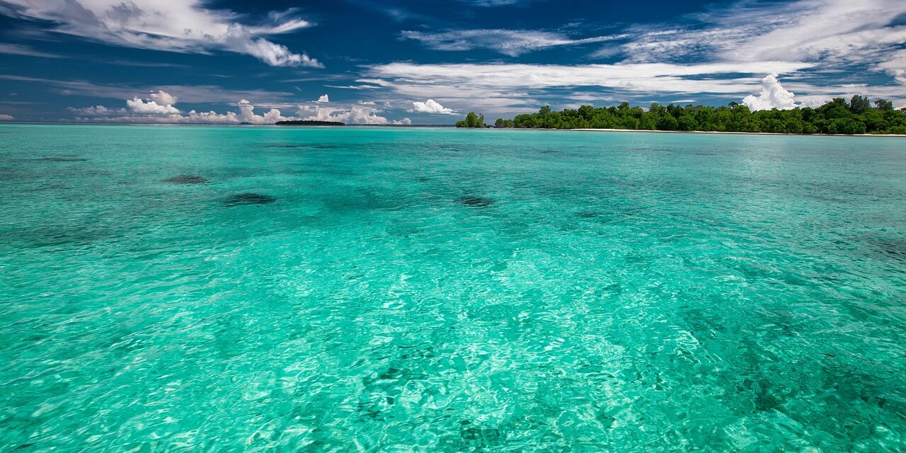 the-shallow-sea-2252940_1280