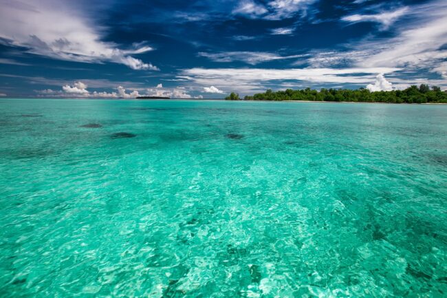 the-shallow-sea-2252940_1280